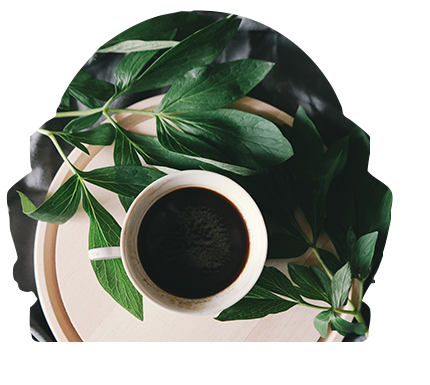 Tea leaf reading at Astrology Boutique in Chicago.